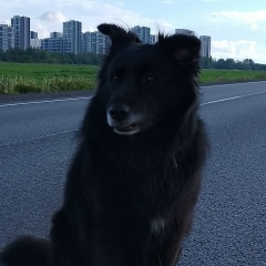 Евгений Ходаковский
