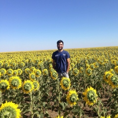 Hayk Mamikonyan, Актобе