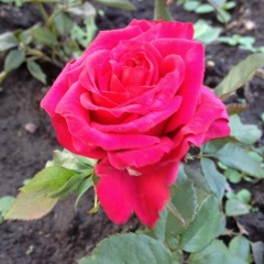 Гузель Насыбуллина, 13.12.1982, Казань