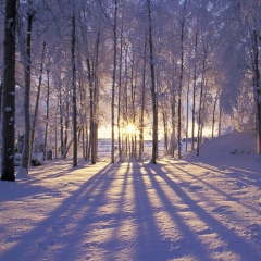 Elnur Ukibayeva, 02.08, Алматы