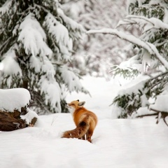 Александра Емельянова, 30.08, Челябинск