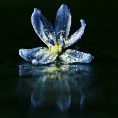 Юлия Новикова, 30.08.1980, Санкт-Петербург