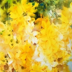 Надежда Кичайкина, 13.03, Санкт-Петербург