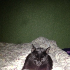 Женя Зосимова, 25.04