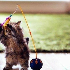 Мария Шевцова, 13.05, Москва