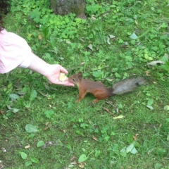 Оксана Агеева, 25.02, Санкт-Петербург