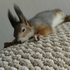 Борис Косяков, 15.10.1984, Москва