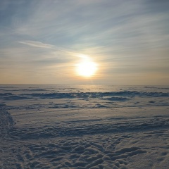 Илья Нилов, 27.11.1985, Санкт-Петербург