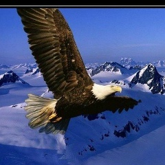 Зограб Мирзоян, 14.08.1970, Самара