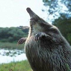 Никита Крюковский, 11.07.1989, Владимир