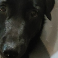 Евгений Архипов, 08.11.1987, Санкт-Петербург