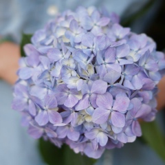 Оля Коваль, 19.06.1990, New York City