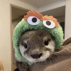 Андрей Мамедов, 14.12