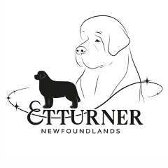 Александра Васина, Москва