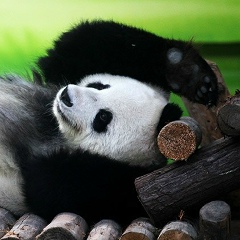 Александр Андреевских, 23.10, Пермь