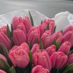 Аля Иванова, 07.03, Псков