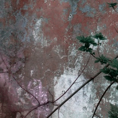 Рома Гудименко, 12.06, Киев