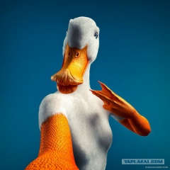 Данил Прохоркин, 09.09, Санкт-Петербург