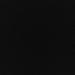 Олег Пак, Шымкент