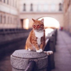 Арсан Дворжецкий, Pago Pago