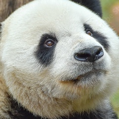 Денис Топашин, 04.03.1986, Хабаровск