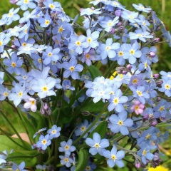 Ирина Мельситова, 23.04, Санкт-Петербург