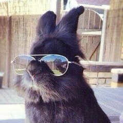 Сергей Державин, 15.06, Калининград