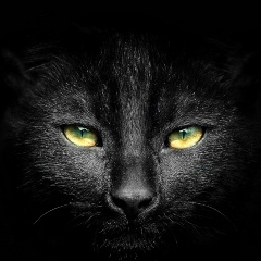 Руслан Калинов, 20.12, Москва