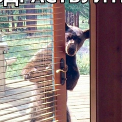 Ольга Голярчук