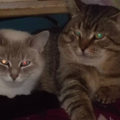 Арина Арина, 08.04.1961