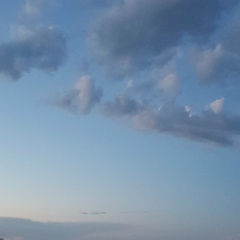 Алина Которобай, 12.08.1993, Carpi