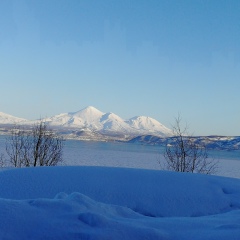 Казбек Маматов, 14.07.1981, Видное