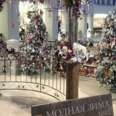 Майя Фролова, 03.06, Москва