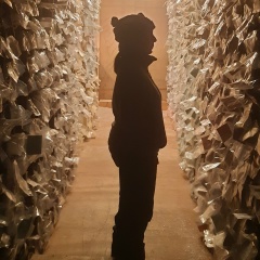 Анна Козачек, Санкт-Петербург