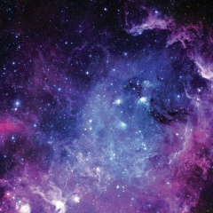 Лида Айда, Санкт-Петербург