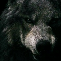 Бауыржан Ходжаев, 26.11.1988, Бейнеу