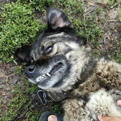 Ринат Мефтахов, 09.11