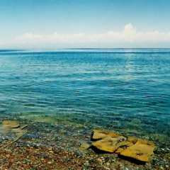 Азамат Алагозов, 21.06.1991, Бишкек