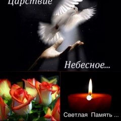 Елена Козлова, Санкт-Петербург