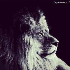 Естай Шарипов, 17.05.1995, Алматы