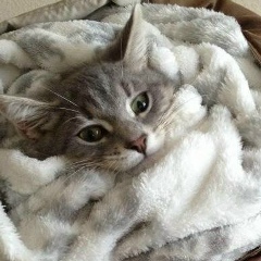 Анатолий Соловьев, 18.03.1988, Якутск