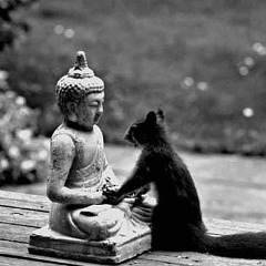 Павел Порецкий, 29.08.1983, Москва