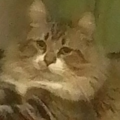 Егор Хаген, 05.01.1982, Санкт-Петербург