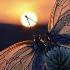 Stanislav Gomulin, 17.06