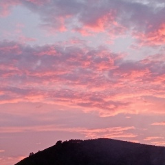 Анастасия Семехина, 03.12.2003, Шарыпово