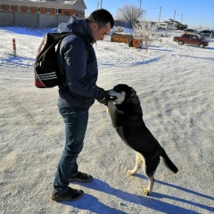 Андрей Шаповалов, Санкт-Петербург