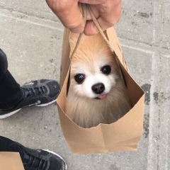 Aigerim Hamzina, 05.04, Караганда