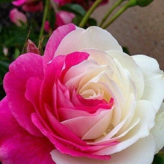 Гуля Исакова, 31.10.1986, Астана