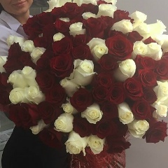 Катя Ермакова, 15.04, Киров