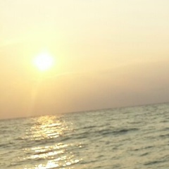 Сергей Левицки, 08.07.1987